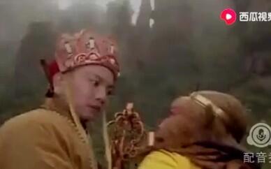 配音秀孙悟空骂人视频,麻辣辣的“金箍棒”怒骂来袭！