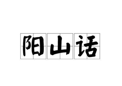 阳山话视频,方言视频中的文化传承与生活剪影