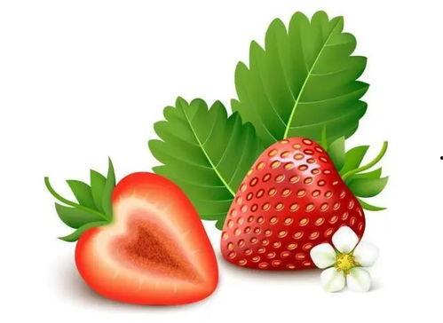 污视频草莓,揭秘网络污视频背后的真相与反思