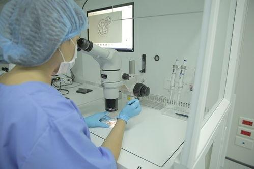 试管婴儿移植视频,科技助力生命延续